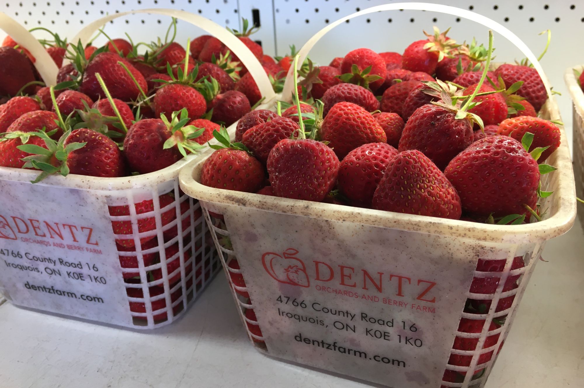 Strawberries - pre-picked